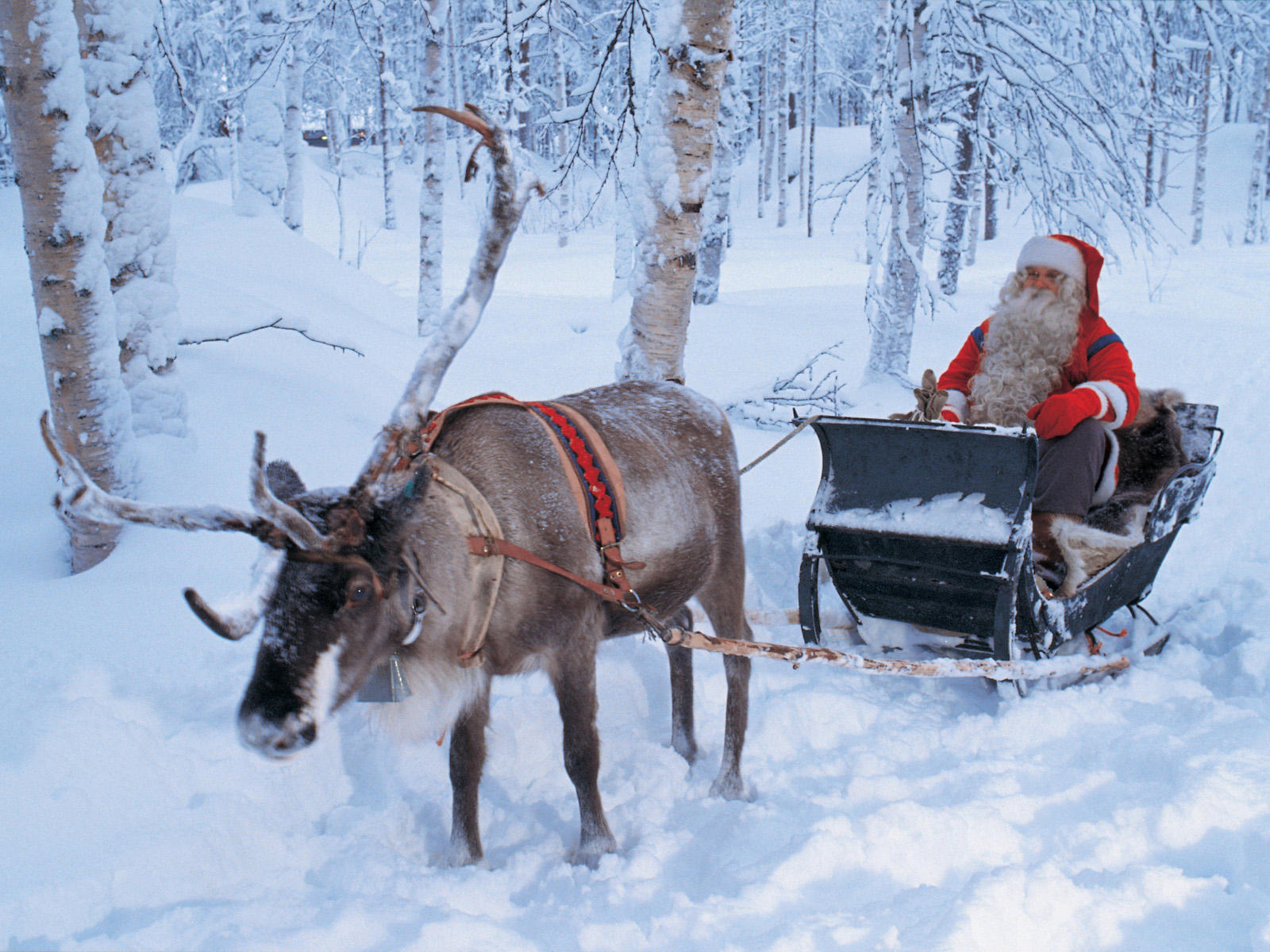 santa s sleigh with reindeer